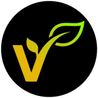 Vedax Digital
